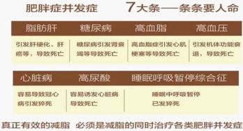 巴比兔减肥饼干价格与正规性全面解析